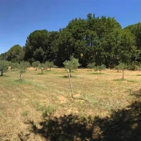 Provence Mon *
